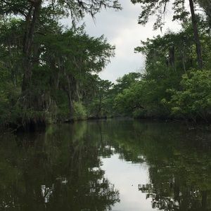 Meet your Posher, Sarahsarah